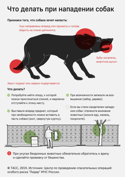 Что делать при нападении собак